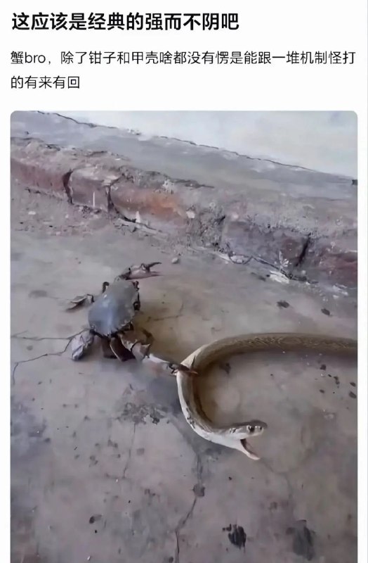 Rust完爆Python